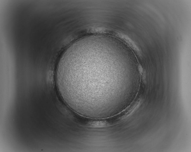 X0000102400449200808081308