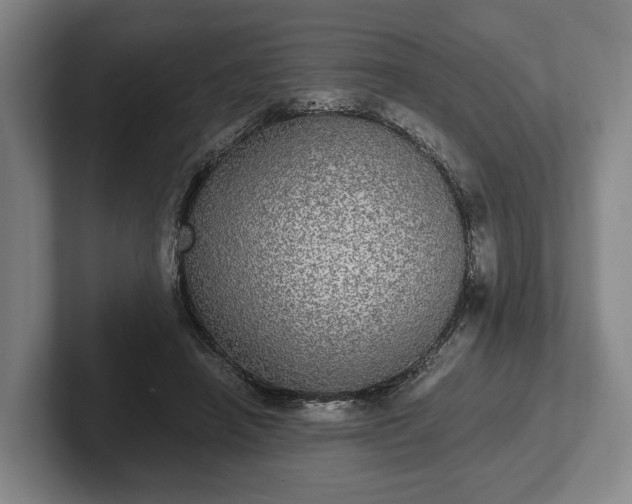 X0000102400450200808081308