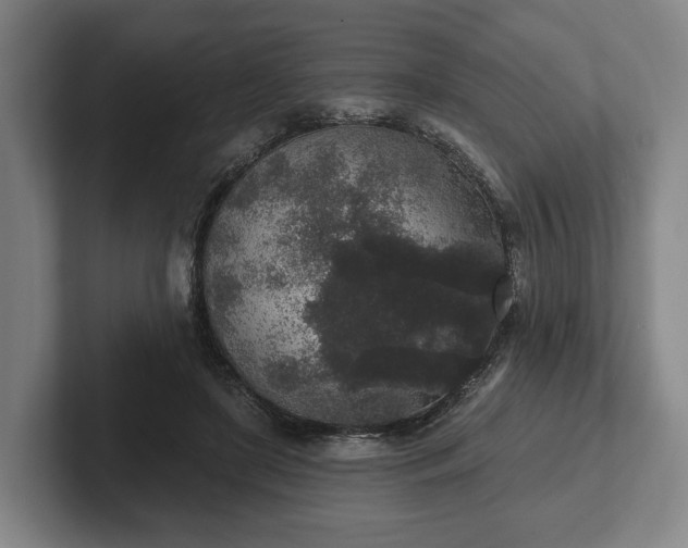 X0000102400451200808081308