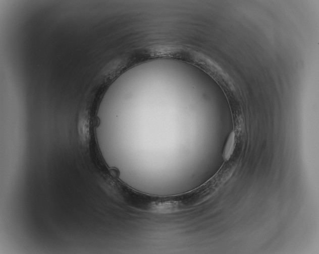 X0000102400452200808081308