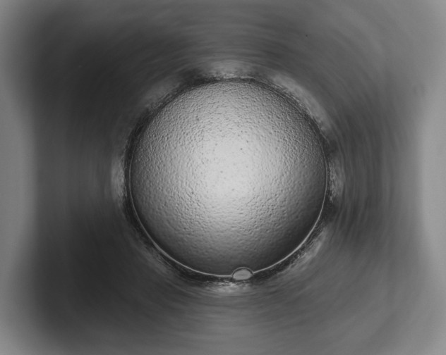 X0000102400453200808081308