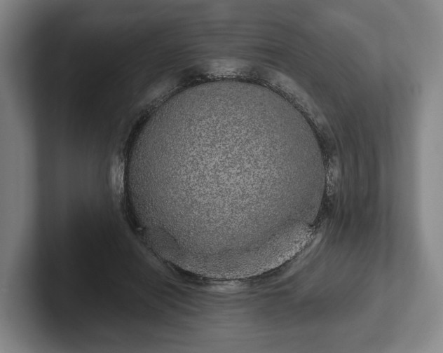 X0000102400454200808081308