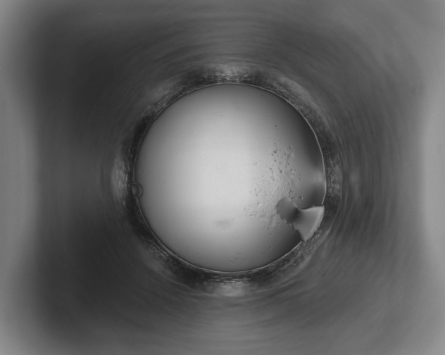 X0000102400456200808081308