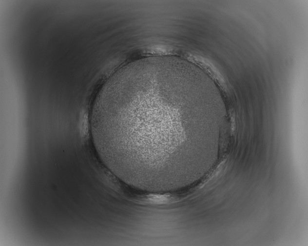 X0000102400457200808081308