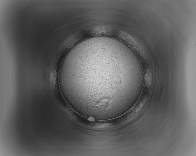 X0000102400458200808081308