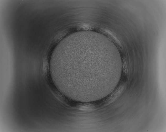 X0000102400459200808081308