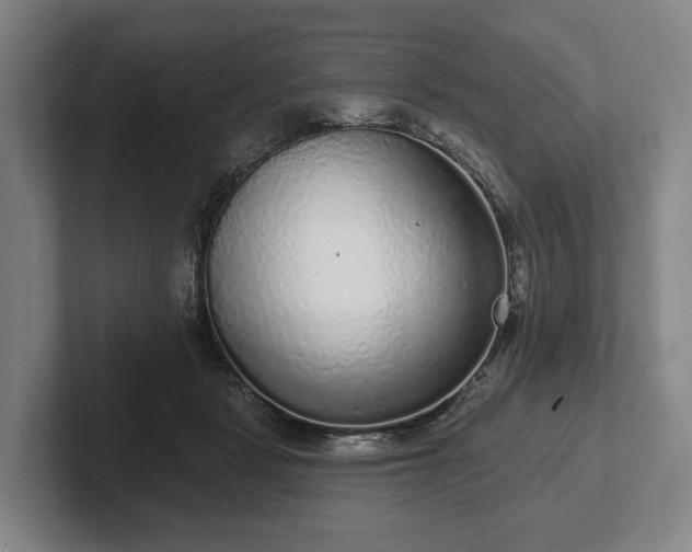 X0000102400461200808081308