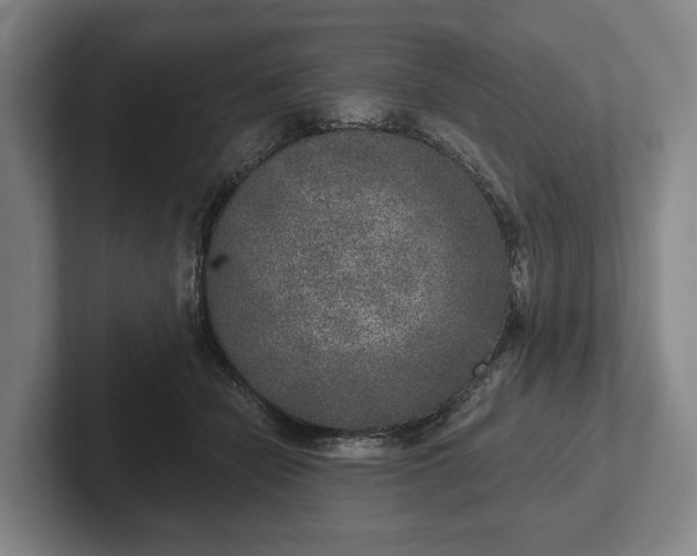 X0000102400462200808081308