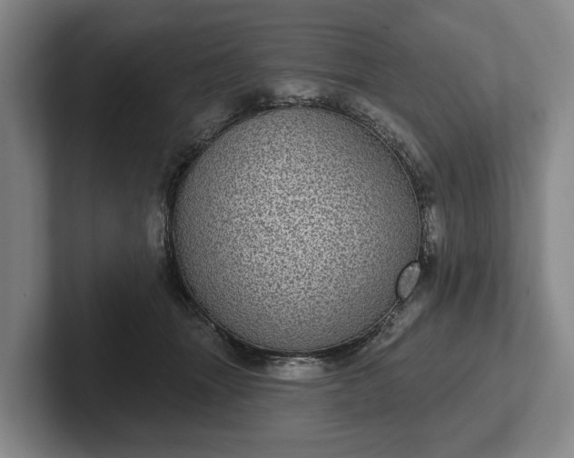 X0000102400463200808081308