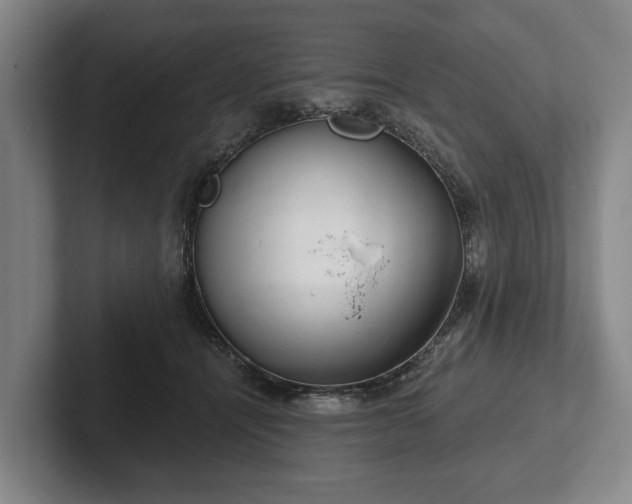 X0000102400464200808081308