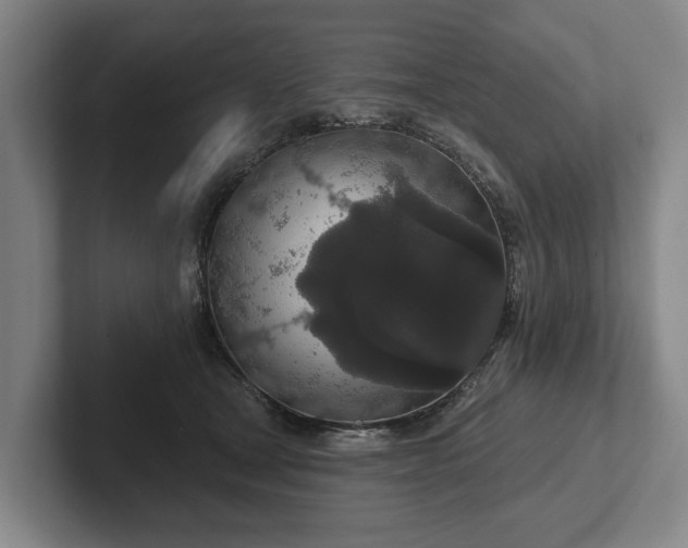 X0000102400465200808081308