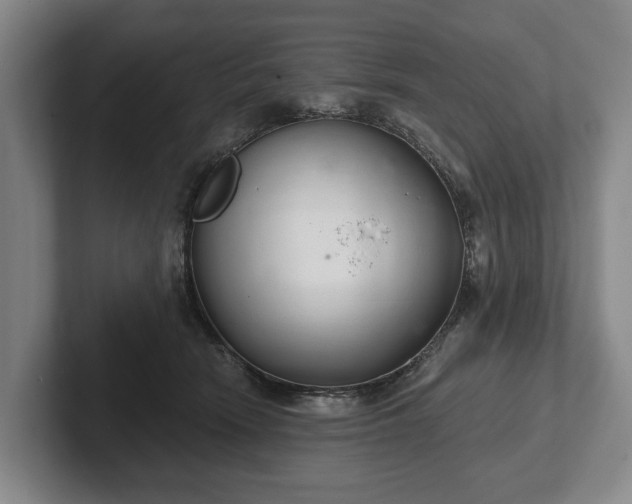 X0000102400466200808081308