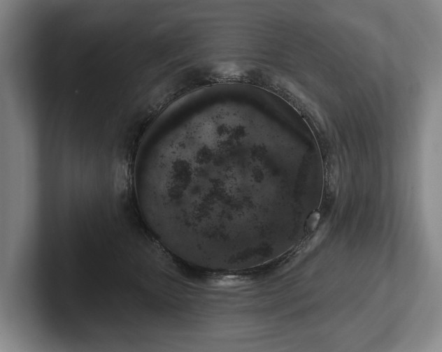 X0000102400467200808081308