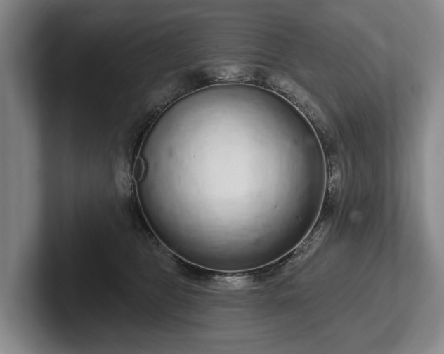 X0000102400469200808081308