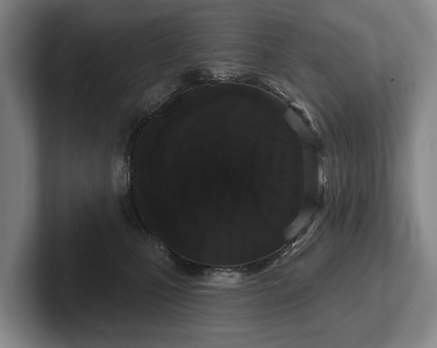 X0000102400471200808081308