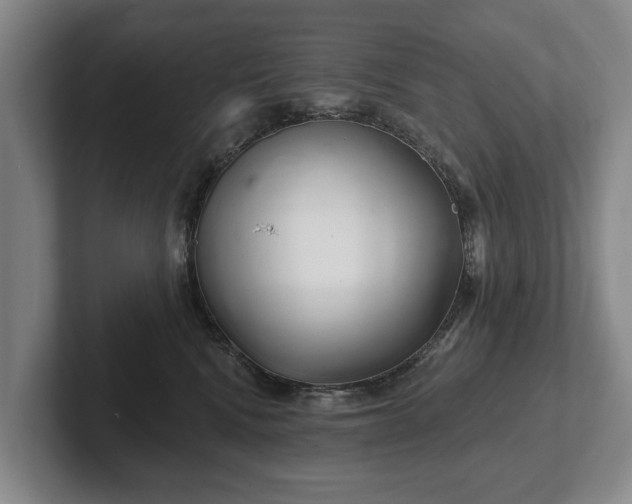 X0000102400472200808081308