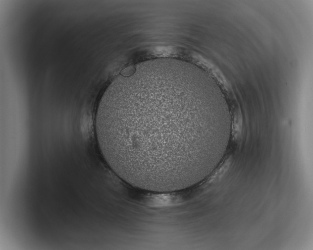 X0000102400473200808081308