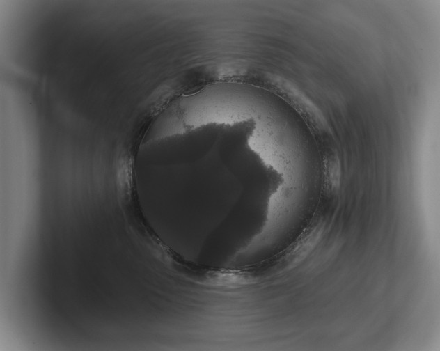 X0000102400475200808081308