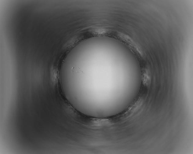 X0000102400476200808081308