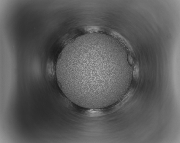 X0000102400477200808081308