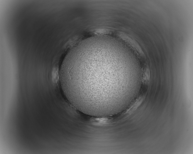 X0000102400478200808081308