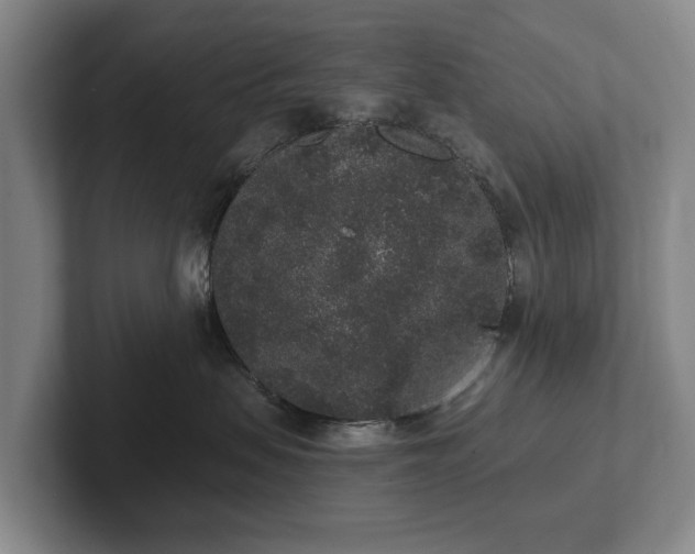 X0000102400479200808081308