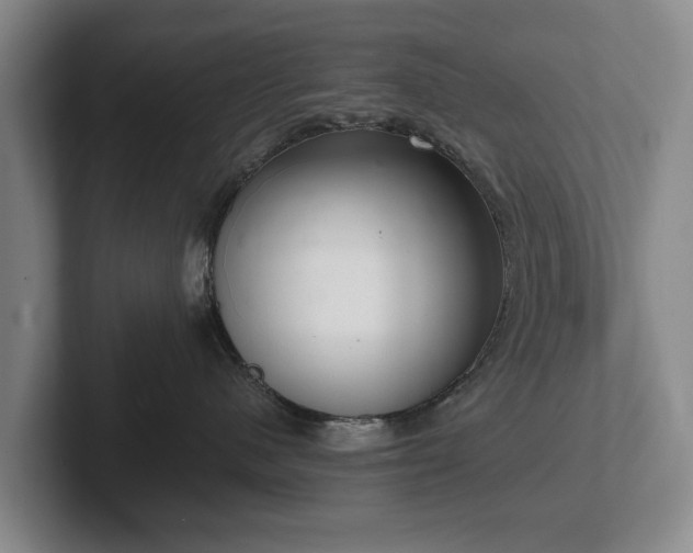 X0000102400480200808081308