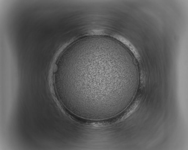 X0000102400481200808081307