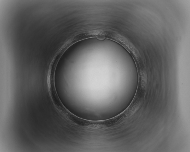 X0000102400482200808081307