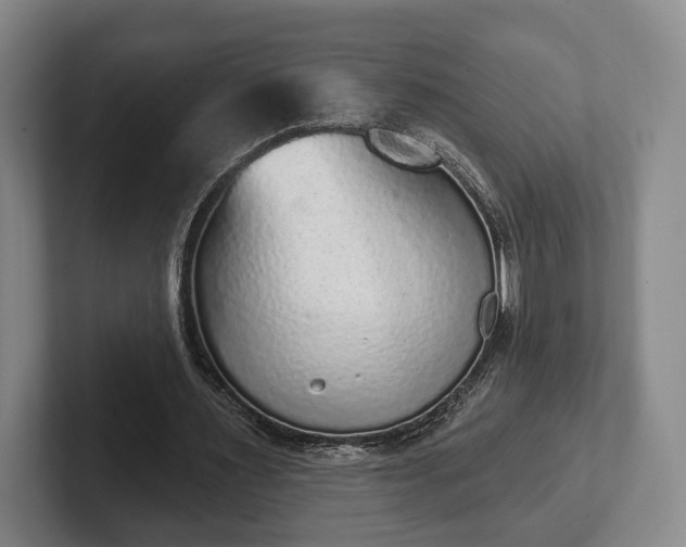 X0000102400483200808081307