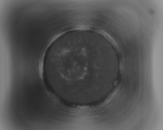 X0000102400484200808081307