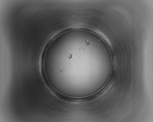 X0000102400485200808081307