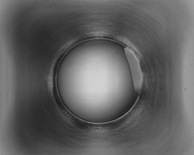 X0000102400486200808081307