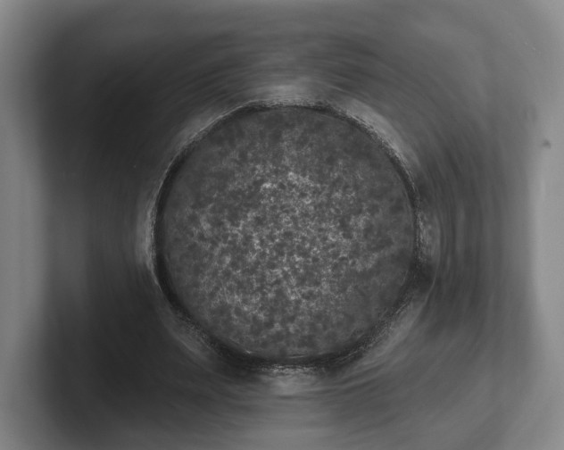 X0000102400487200808081307