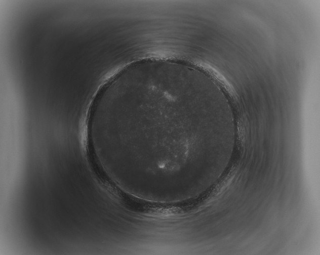 X0000102400488200808081307