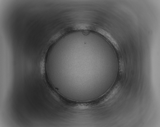 X0000102400489200808081307