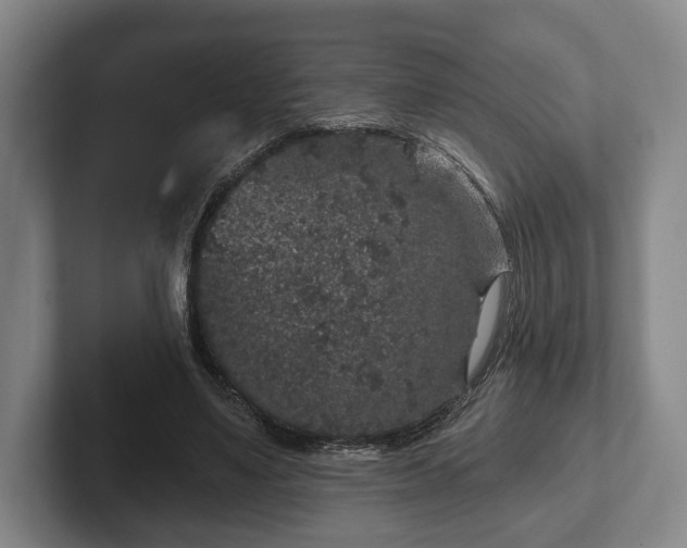 X0000102400491200808081307