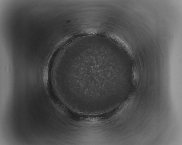 X0000102400492200808081307