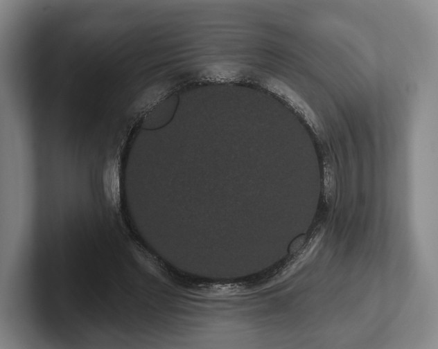 X0000102400493200808081307