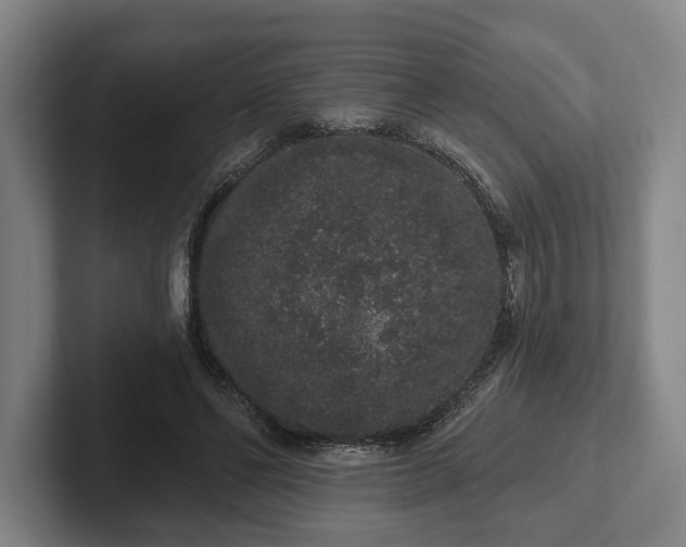 X0000102400494200808081307