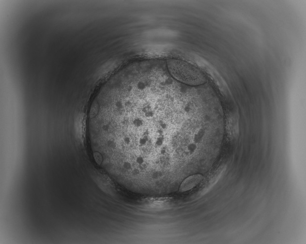 X0000102400495200808081307