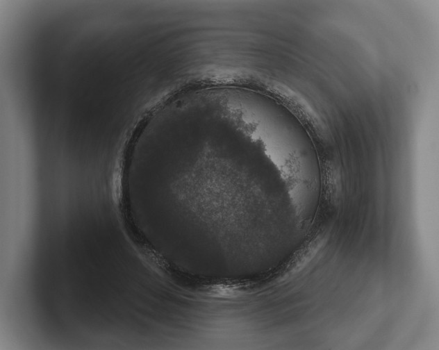 X0000102400496200808081307