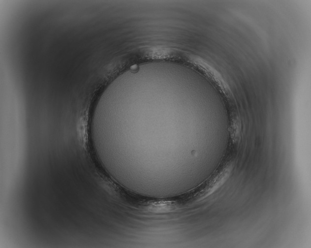 X0000102400497200808081307