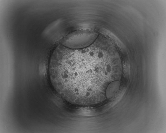 X0000102400499200808081307