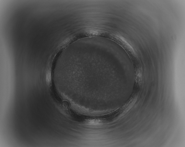 X0000102400500200808081307