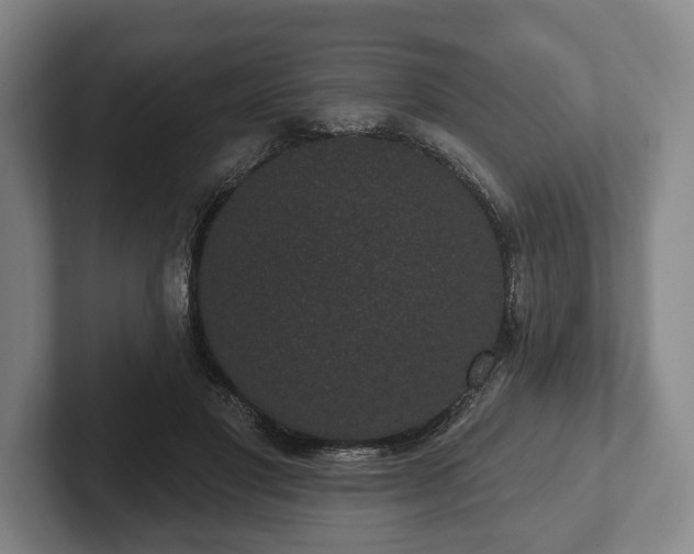 X0000102400501200808081307