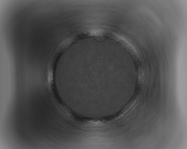 X0000102400502200808081307