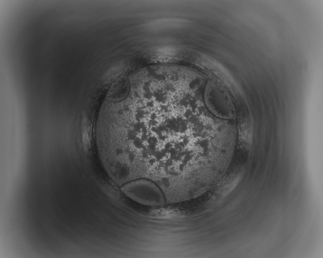 X0000102400503200808081307