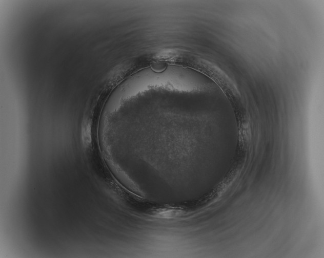 X0000102400504200808081307