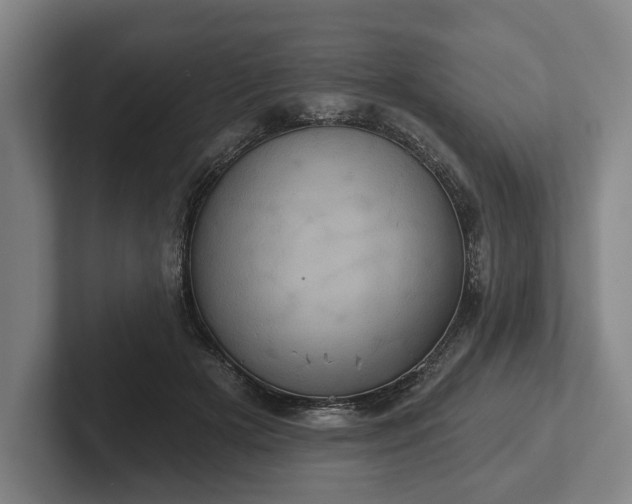 X0000102400505200808081307